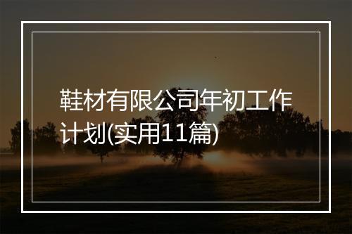 鞋材有限公司年初工作计划(实用11篇)