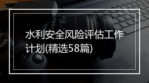 水利安全风险评估工作计划(精选58篇)