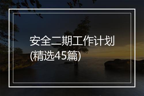 安全二期工作计划(精选45篇)