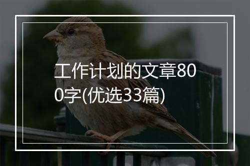 工作计划的文章800字(优选33篇)