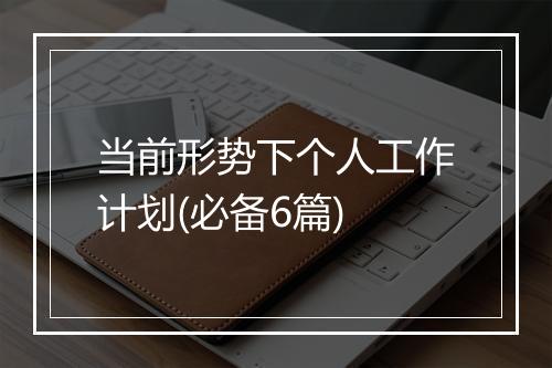 当前形势下个人工作计划(必备6篇)