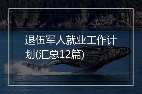 退伍军人就业工作计划(汇总12篇)