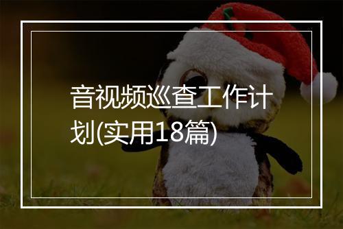 音视频巡查工作计划(实用18篇)