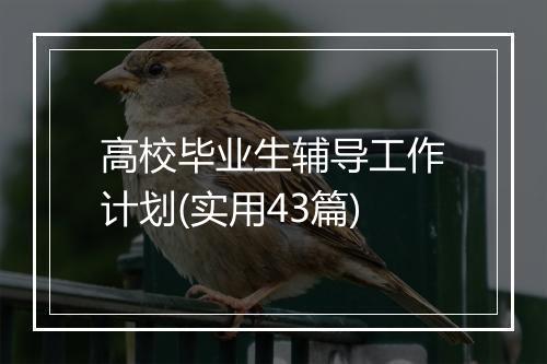 高校毕业生辅导工作计划(实用43篇)