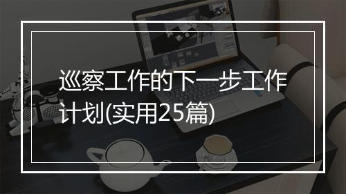 巡察工作的下一步工作计划(实用25篇)