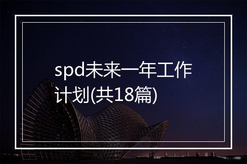 spd未来一年工作计划(共18篇)