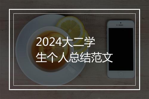 2024大二学生个人总结范文