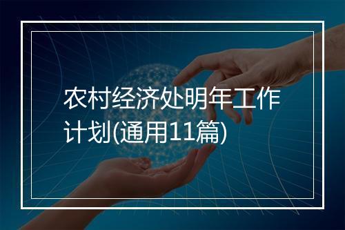 农村经济处明年工作计划(通用11篇)