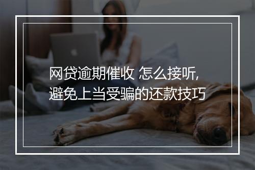 网贷逾期催收 怎么接听,避免上当受骗的还款技巧