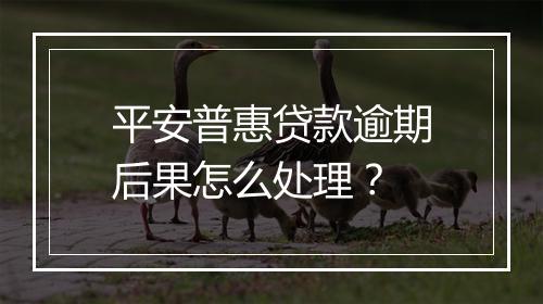 平安普惠贷款逾期后果怎么处理？