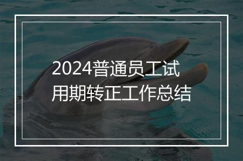 2024普通员工试用期转正工作总结