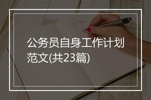 公务员自身工作计划范文(共23篇)