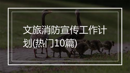 文旅消防宣传工作计划(热门10篇)