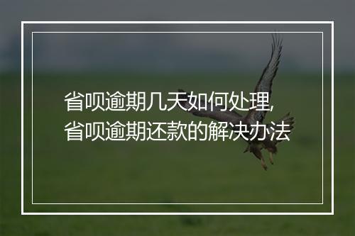 省呗逾期几天如何处理,省呗逾期还款的解决办法