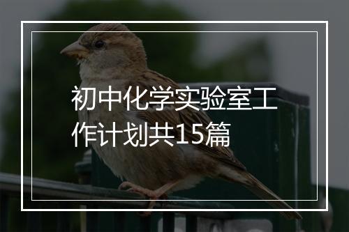 初中化学实验室工作计划共15篇