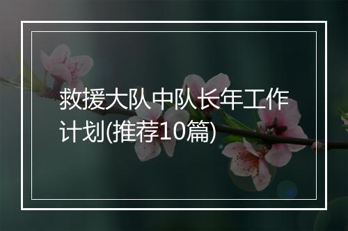 救援大队中队长年工作计划(推荐10篇)