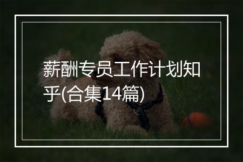 薪酬专员工作计划知乎(合集14篇)