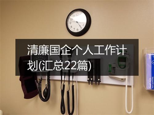 清廉国企个人工作计划(汇总22篇)