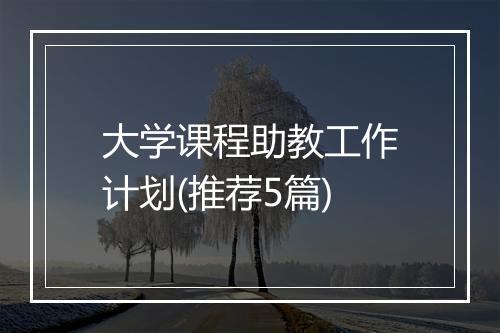 大学课程助教工作计划(推荐5篇)