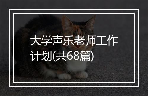 大学声乐老师工作计划(共68篇)