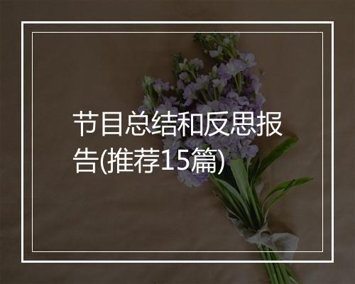 节目总结和反思报告(推荐15篇)