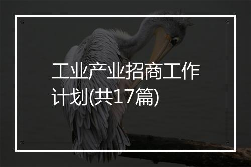 工业产业招商工作计划(共17篇)