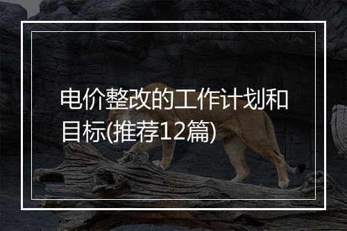 电价整改的工作计划和目标(推荐12篇)