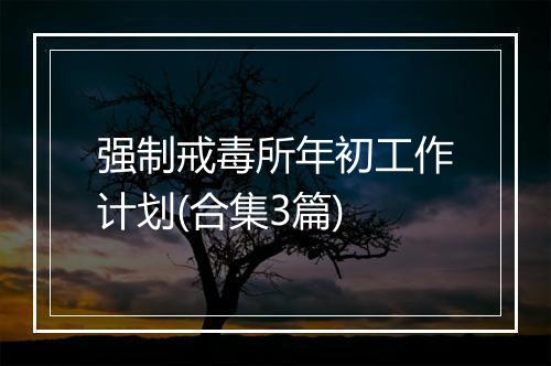 强制戒毒所年初工作计划(合集3篇)