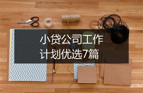小贷公司工作计划优选7篇