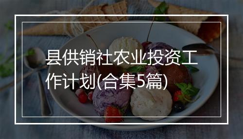 县供销社农业投资工作计划(合集5篇)