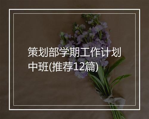 策划部学期工作计划中班(推荐12篇)