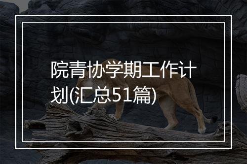 院青协学期工作计划(汇总51篇)