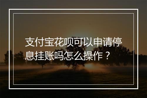 支付宝花呗可以申请停息挂账吗怎么操作？