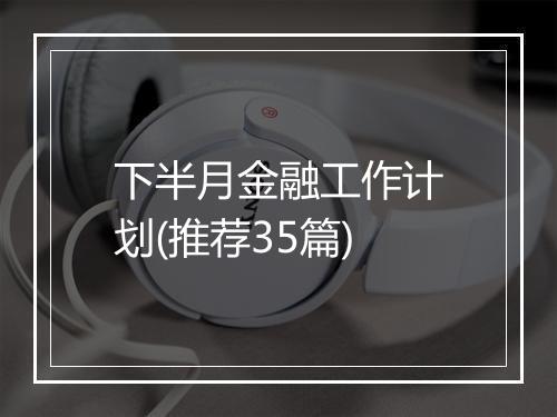 下半月金融工作计划(推荐35篇)