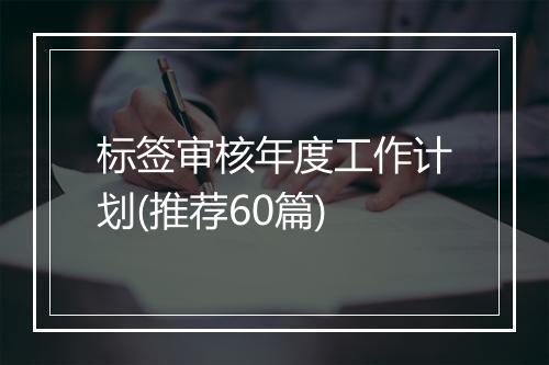 标签审核年度工作计划(推荐60篇)