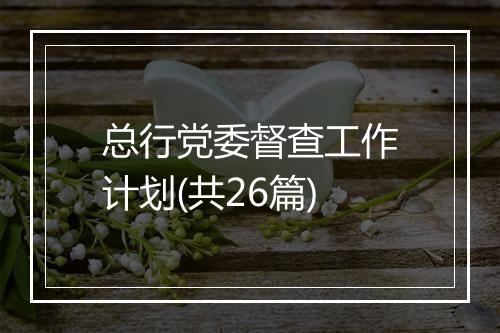 总行党委督查工作计划(共26篇)