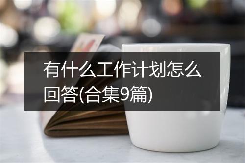 有什么工作计划怎么回答(合集9篇)