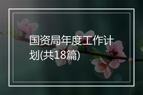 国资局年度工作计划(共18篇)