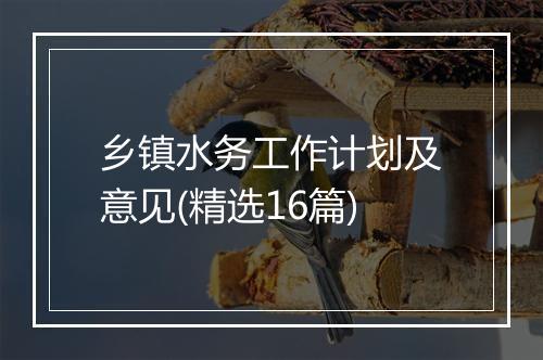 乡镇水务工作计划及意见(精选16篇)