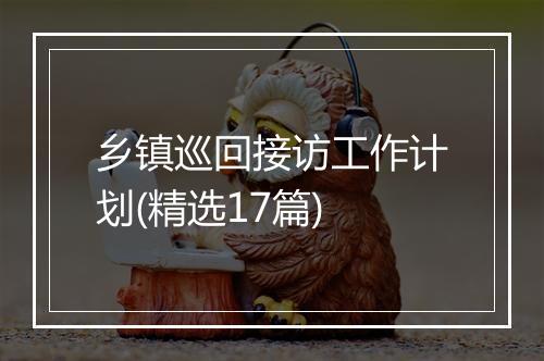 乡镇巡回接访工作计划(精选17篇)