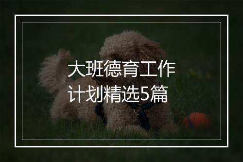 大班德育工作计划精选5篇