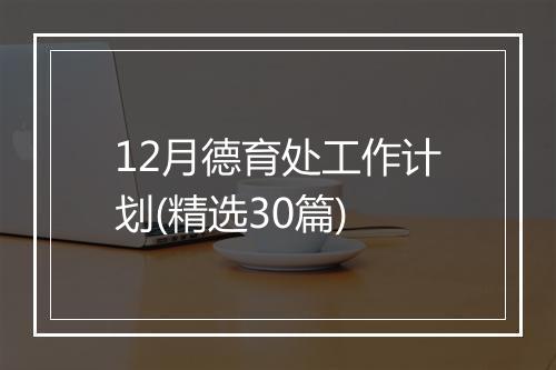 12月德育处工作计划(精选30篇)