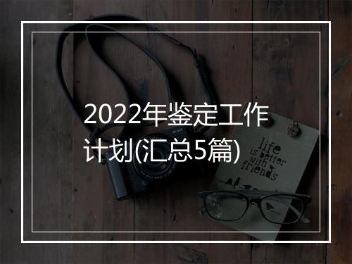 2022年鉴定工作计划(汇总5篇)