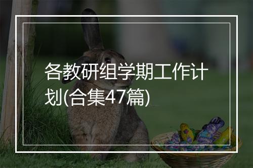 各教研组学期工作计划(合集47篇)