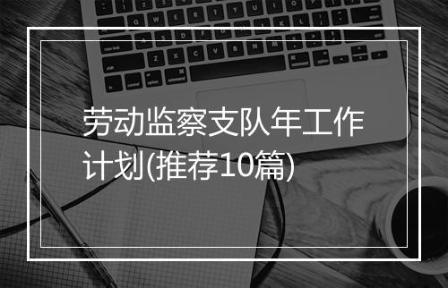 劳动监察支队年工作计划(推荐10篇)