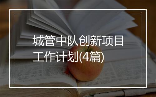 城管中队创新项目工作计划(4篇)