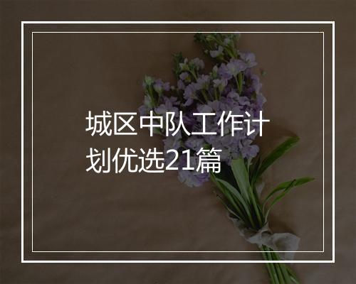 城区中队工作计划优选21篇