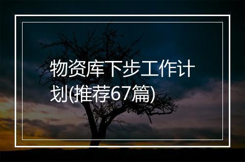 物资库下步工作计划(推荐67篇)