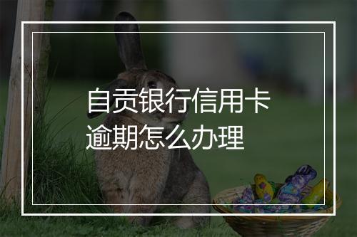 自贡银行信用卡逾期怎么办理