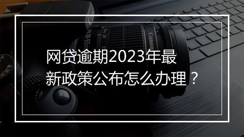 网贷逾期2023年最新政策公布怎么办理？